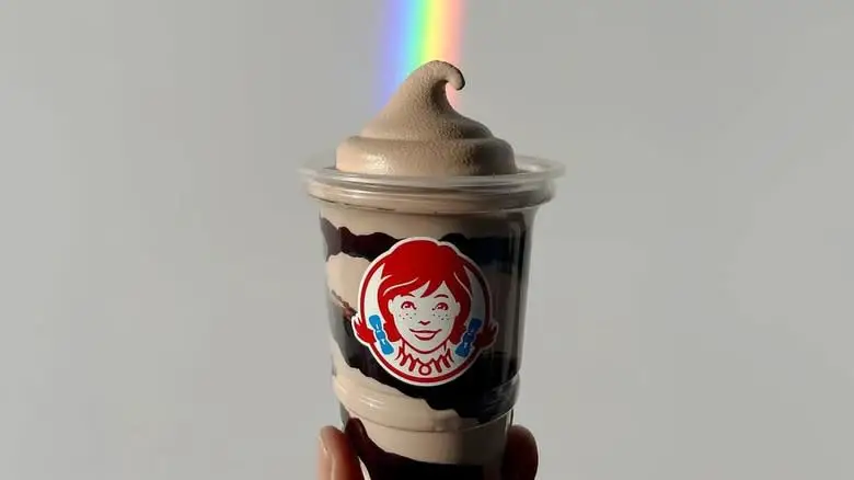 Hand holding Wendy's Brownie Batter Chocolate Frosty Swirl in front of a white wall and rainbow