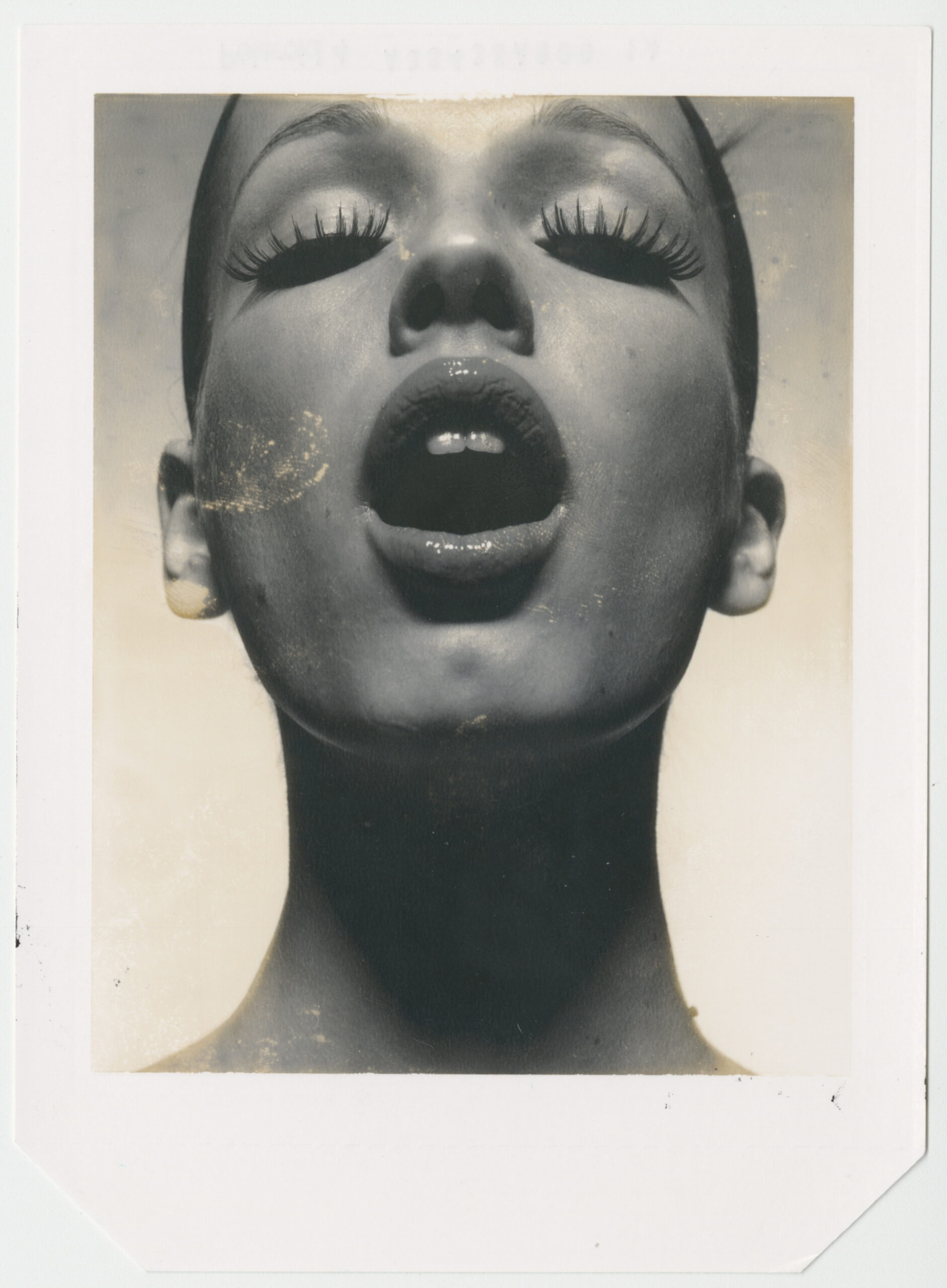 Delve into beauty photographer Donna Trope’s archive of Polaroids