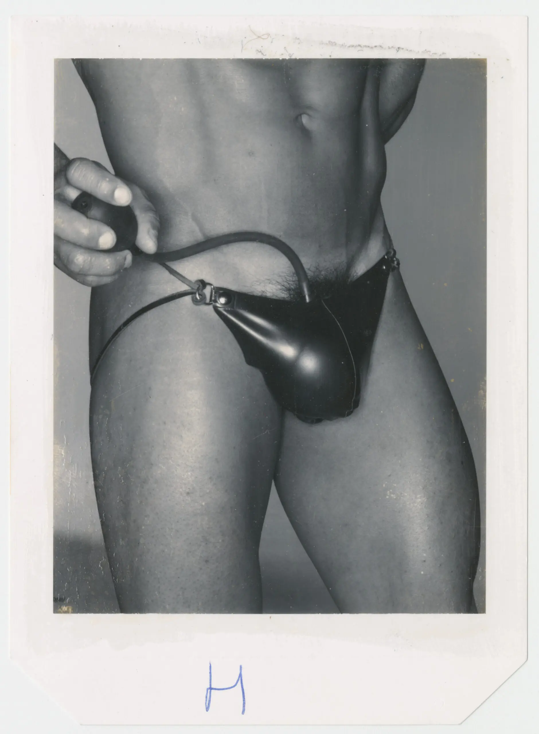 Donna Trope Polaroid