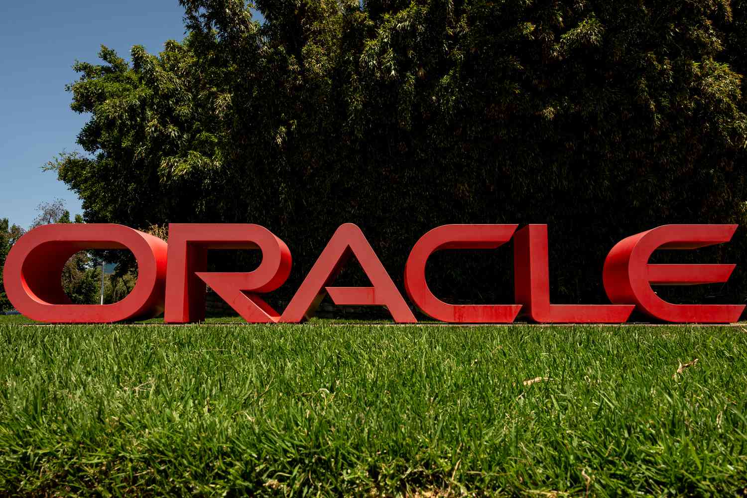 Oracle Stock Pops as Revenue Tops Estimates, CEO Projects ‘Dramatically Higher’ Growth