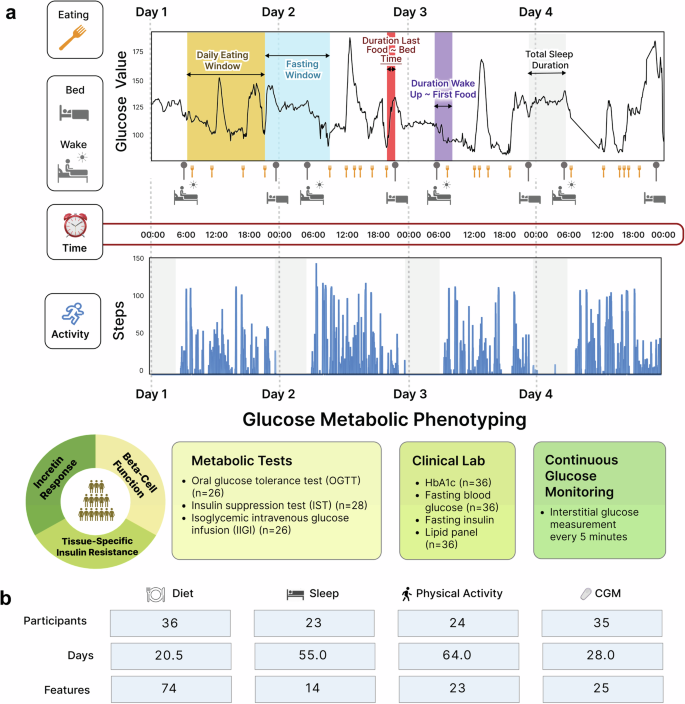 High-resolution lifestyle profiling and metabolic subphenotypes of type 2 diabetes