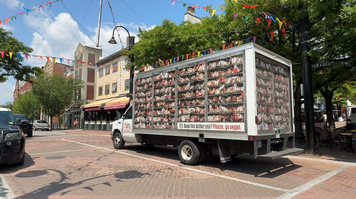 Did you see a chicken truck around Burlington? This is the message it’s sending