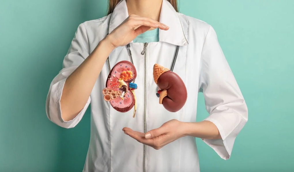 Thận suy không hay biết vì những thói quen tưởng vô hại