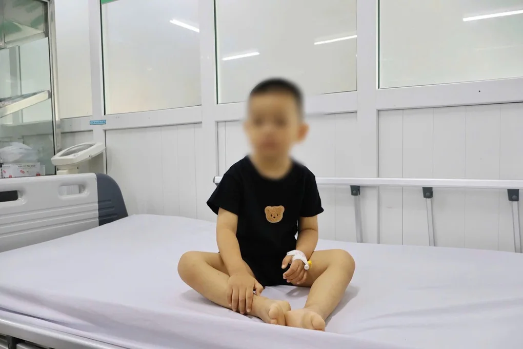 Bé 3 tuổi phải đi cấp cứu vì dùng lá lộc mại chữa táo bón - 2 Bé 3 tuổi phải đi cấp cứu vì dùng lá lộc mại chữa táo bón - 2