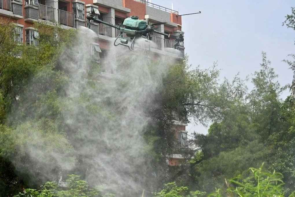 Trung Quốc thả muỗi ăn thịt để đẩy lùi bệnh Chikungunya - 2