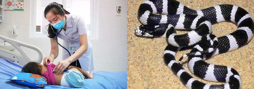 3 tiếng sau khi rắn bò ngang người, bé 21 tháng tuổi hôn mê, tím tái