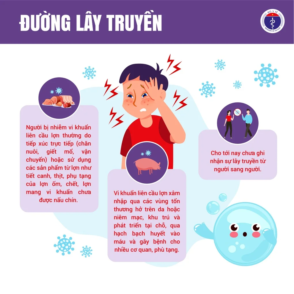 Người đàn ông nhập viện trong tình trạng tím tái sau bữa thủ lợn - 2