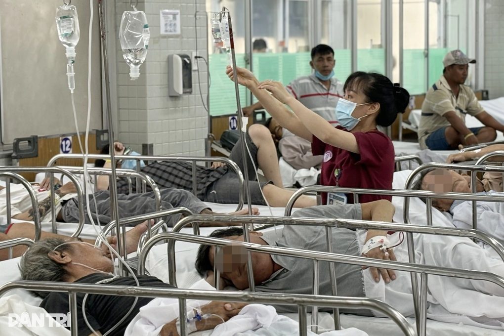 Nhiều ca cấp cứu do động vật có nọc độc tấn công trong kỳ nghỉ lễ