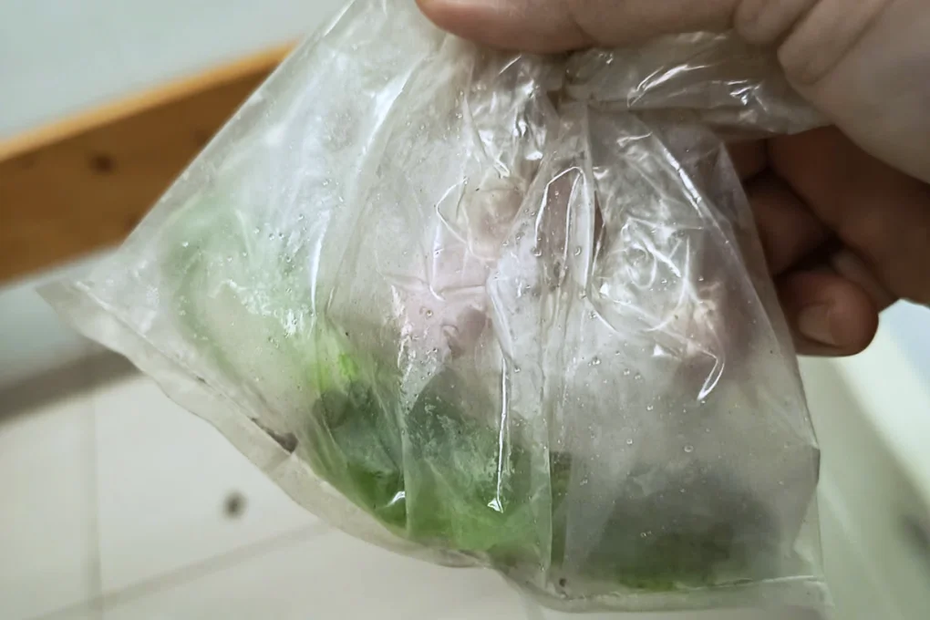 Nhiều người nguy kịch, trên cơ thể có vết cắn của một loại rắn độc - 1