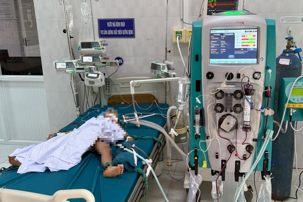Ba em nhỏ bị ong vò vẽ tấn công, một nạn nhân 5 tuổi tử vong