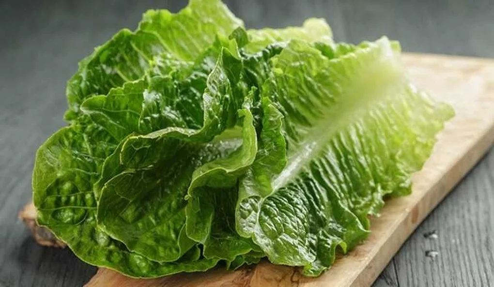 7 loại rau quen thuộc là “máy lọc đường” tự nhiên không phải ai cũng biết - 4 7 loại rau quen thuộc là “máy lọc đường” tự nhiên không phải ai cũng biết - 4