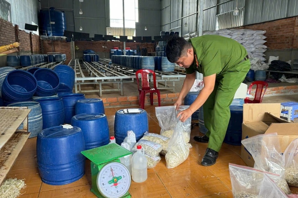 “Nước kẹo” ủ giá đỗ – Chất độc hại gan, gây dị tật thai nhi