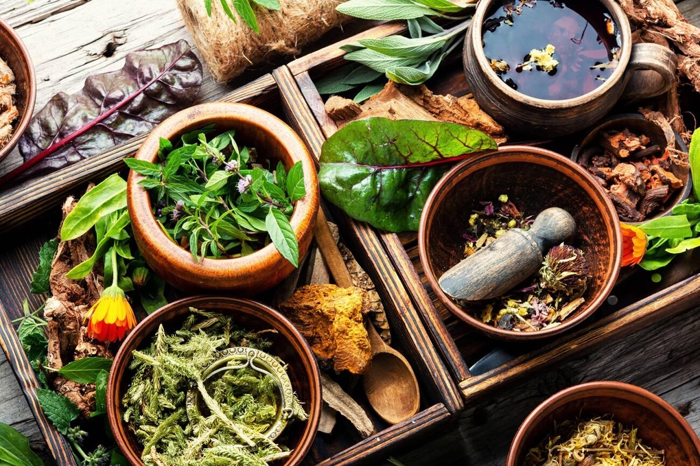 Giao mùa – Thời điểm bệnh hô hấp bùng phát và lựa chọn chăm sóc sức khỏe từ thảo dược