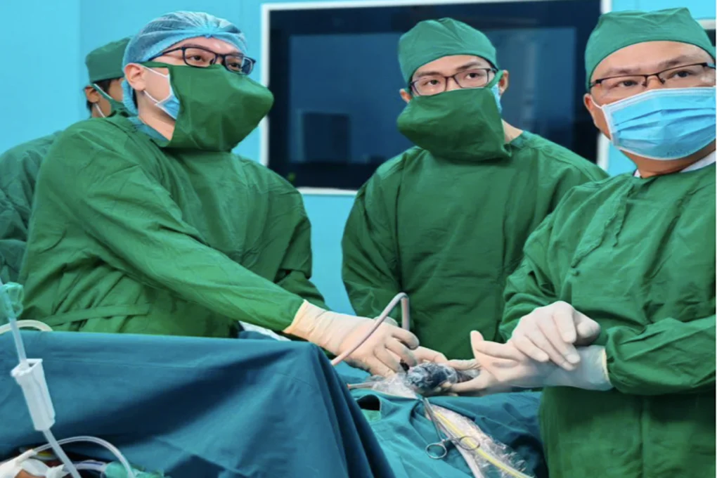 Học sinh lớp 10 thủng dạ dày nguy kịch, phải phẫu thuật khẩn cấp ở đặc khu - 2 Học sinh lớp 10 thủng dạ dày nguy kịch, phải phẫu thuật khẩn cấp ở đặc khu - 2