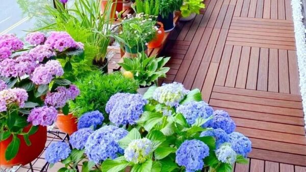 Nordic-Style Balcony Design: Transform Your Balcony into a Luminous Retreat