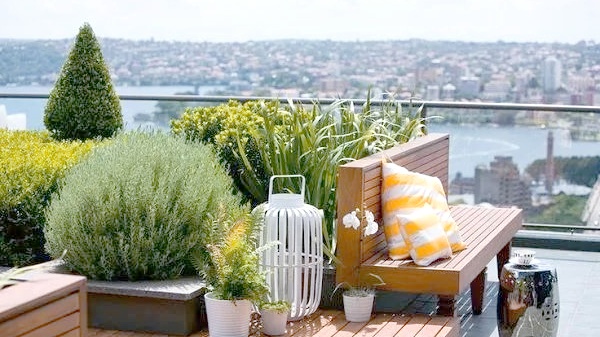 Creating a Sky Garden: Enjoy a Green Lifestyle on Your Rooftop​