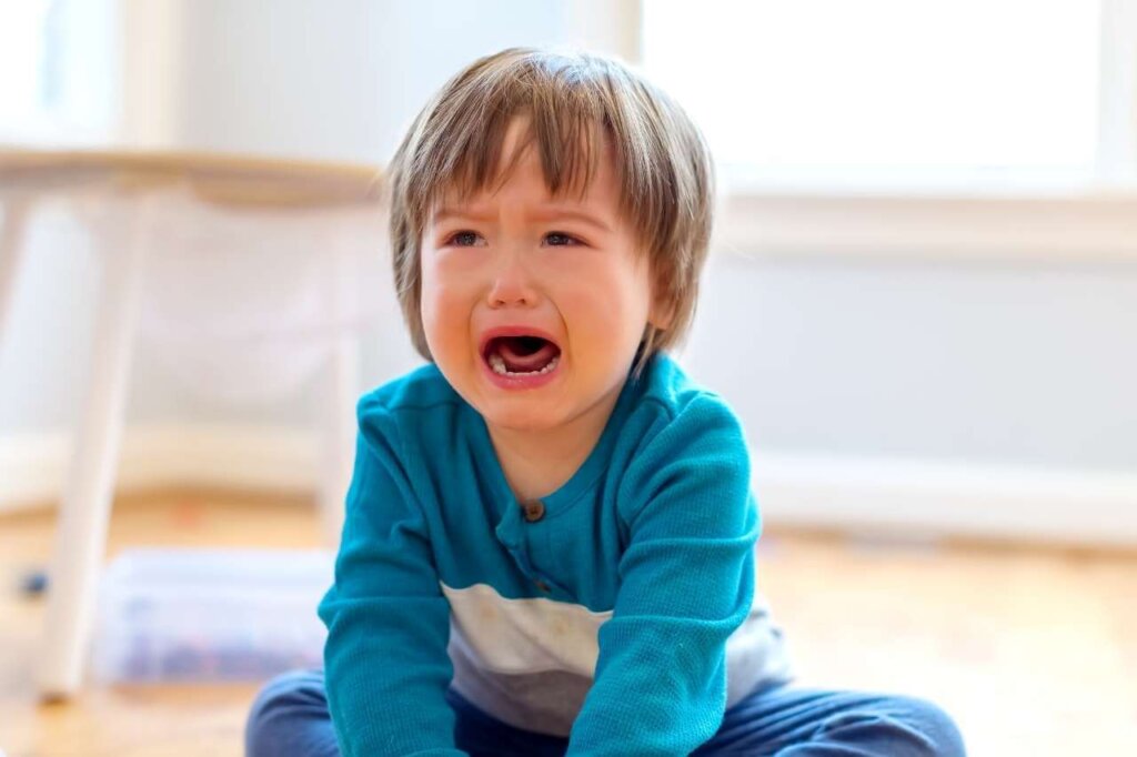 Meltdowns in Children and Toddler Tantrums