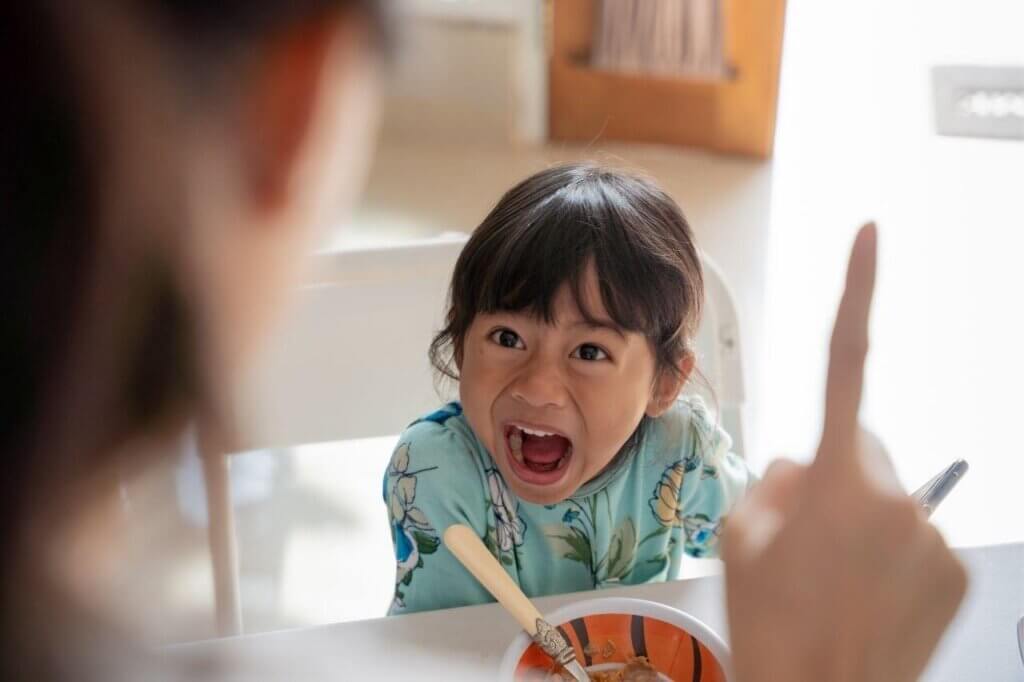 What To Do When Toddlers Behaves Aggressivlely