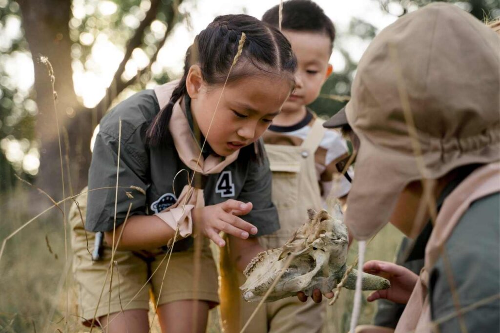 Best Scouting Groups For Children