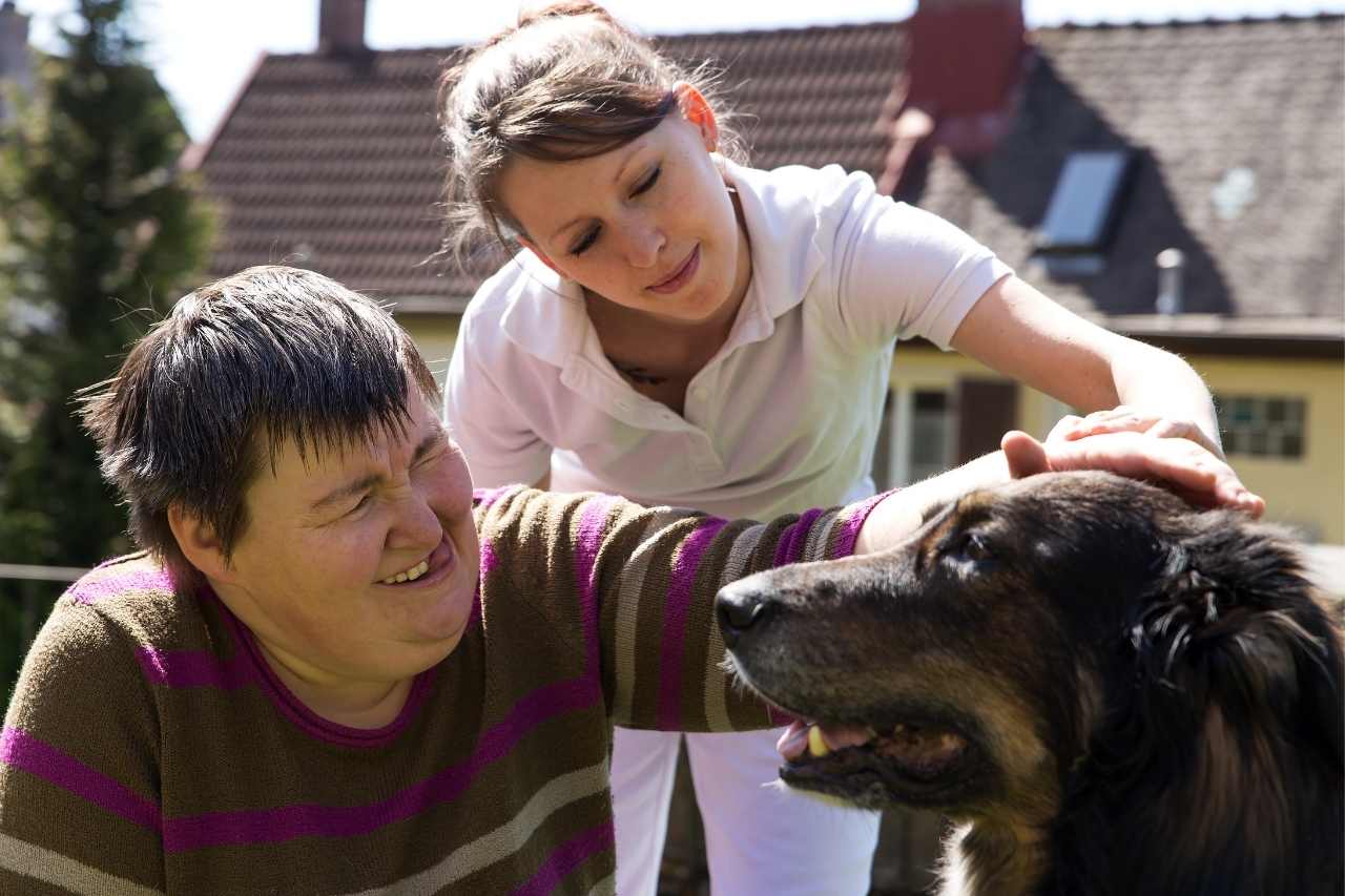 Service And Therapy Animals