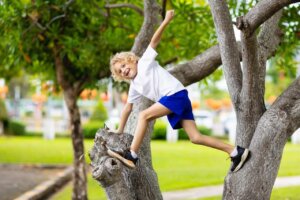 Reasons Why Your Toddler is Climbing on Everything