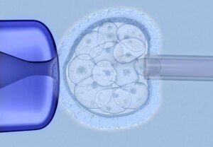 Reasons Why So Few Embryos Develop After IVF