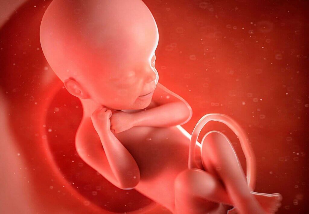 Coping with Fetal Growth Restriction