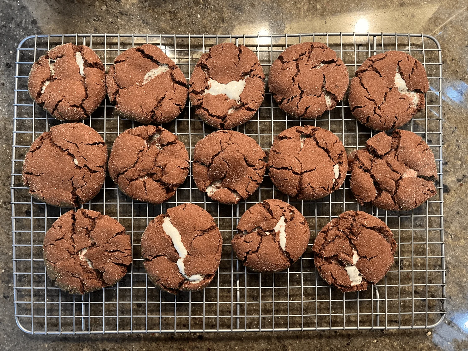 These cookies were spicy and chocolate, with a gooey marshmallow center and a crunchy cinnamon sugar coating.