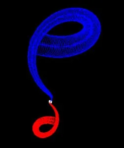 A simulation output of a central AGN and one red and one blue jet emerging from it. The two jets both loop around, and the blue jet has a circular projection towards the viewer, suggesting a donut shape.