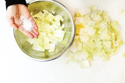 salt being added to chopped cabbage in bowl