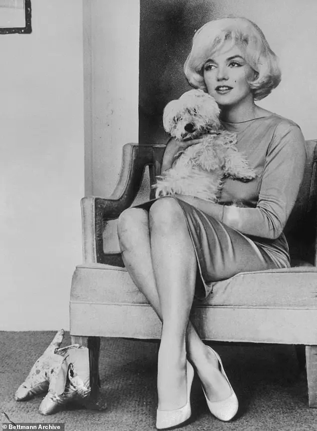 One of the iconic items for auction include Monroe's pink Pucci silk jersey dress with a rope and crystal tassel belt, which she wore for her Vogue photo shoot with photographer Bert Stern