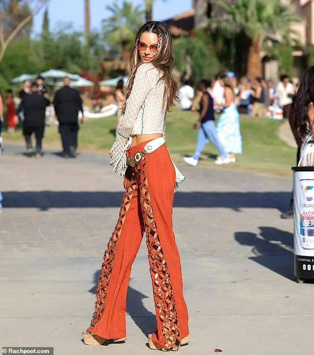 At Coachella in 2023 (seen here) the model slung a cross-body, brown Chanel purse over her shoulder to hold a few items she needed during the event