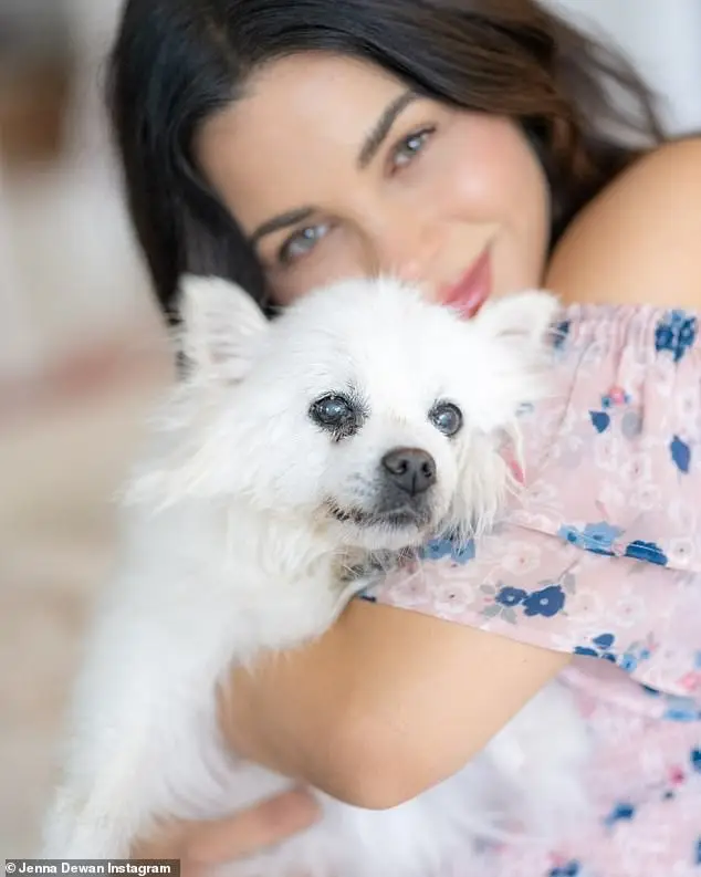 It comes after the former World of Dance host shared a heartfelt and heartbreaking Instagram tribute to the pup she had since she was 25