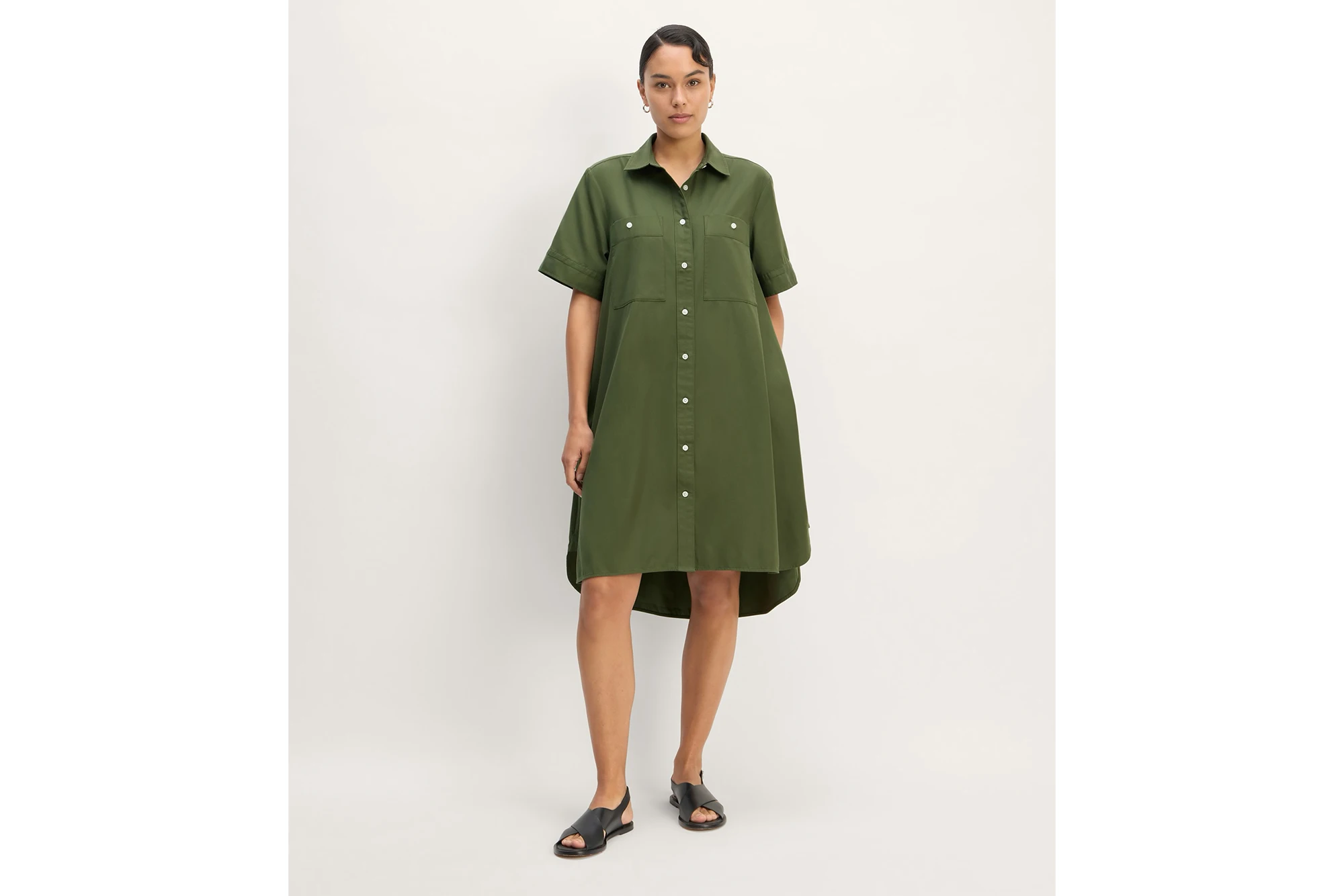 Everlane The Daytripper Shirt Dress