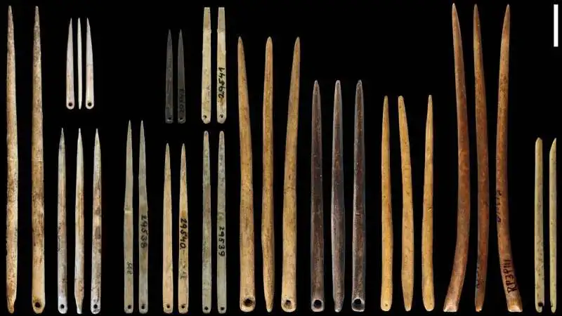 Eyed needles from the last ice age. Credit: Gilligan et al, 2024. The beginnings of fashion