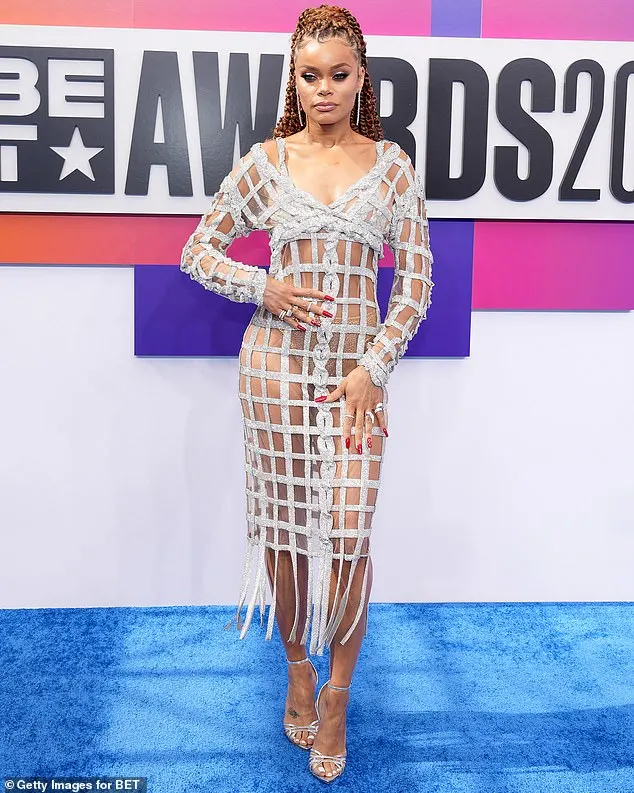 Andra Day made a statement in a semi-sheer, silver dress that contained a tasseled hem and a V-neck cut on the front