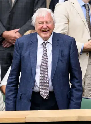 Image may contain David Attenborough Accessories Formal Wear Tie Blazer Clothing Coat Jacket Adult and Person