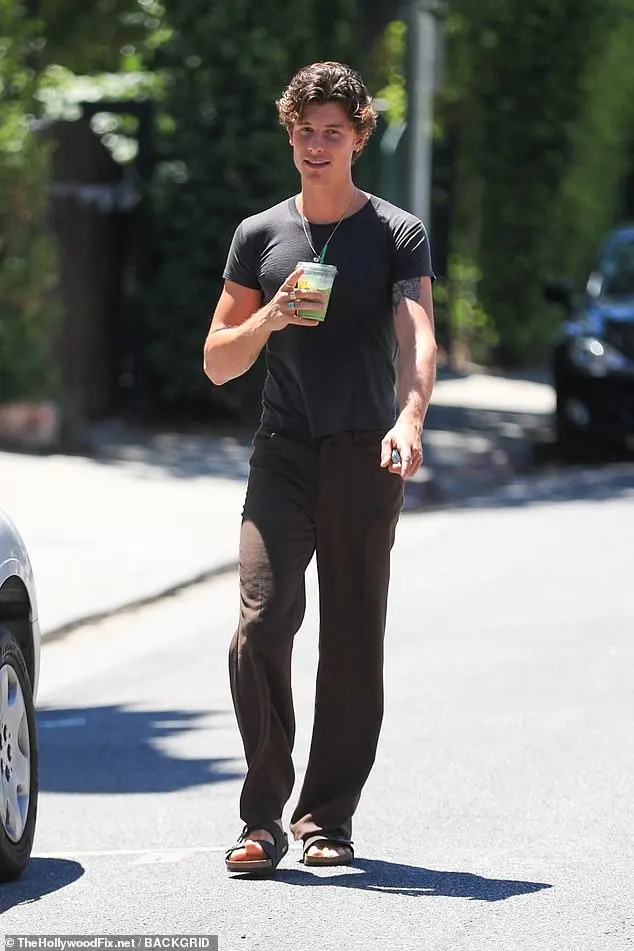 The German institution has roots back to 1774, after the cobbler Johann Adam Birkenstock designed 'fitness sandals' to promote the 'natural gait'. Pictured, 25-year-old singer Shawn Mendes in Birkenstocks