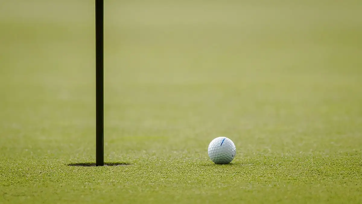 Golf ball on the green