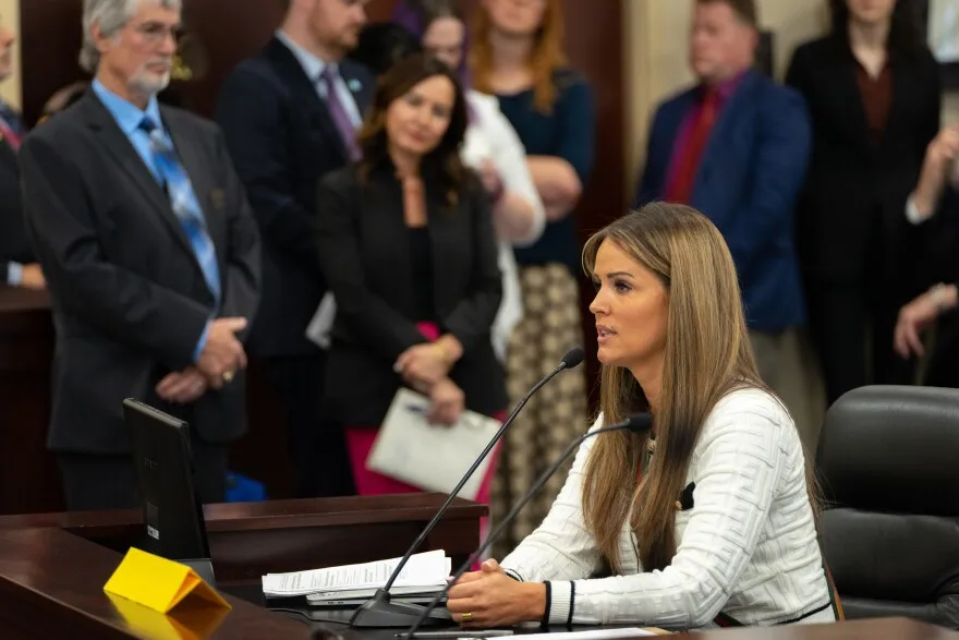 Rep. Kera Birkeland explains her bill to the Senate Business and Labor Committee, Jan. 22, 2024.