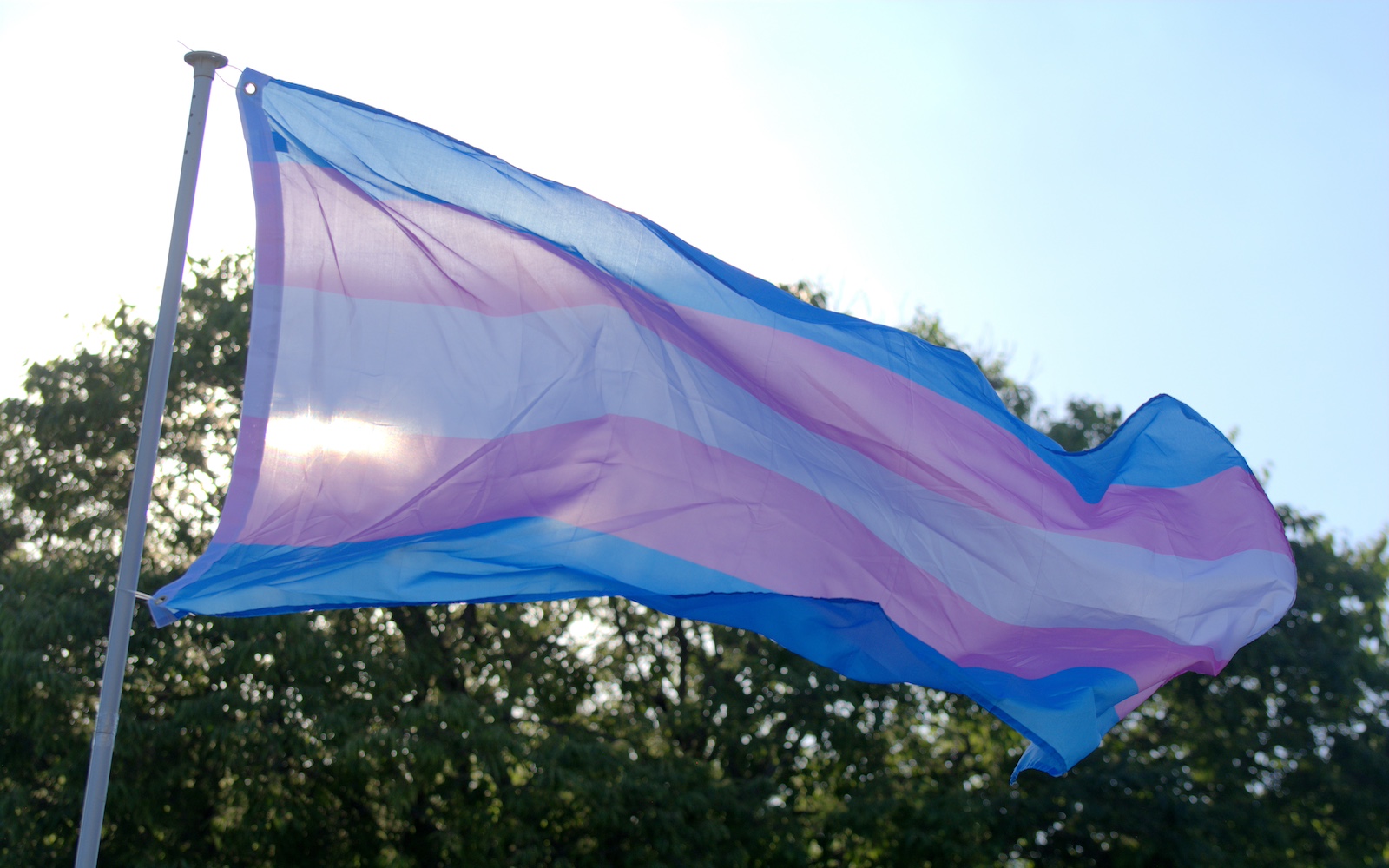 a pink, blue and white trans flag waves in the air before some trees in a setting in the US, perhaps Ohio