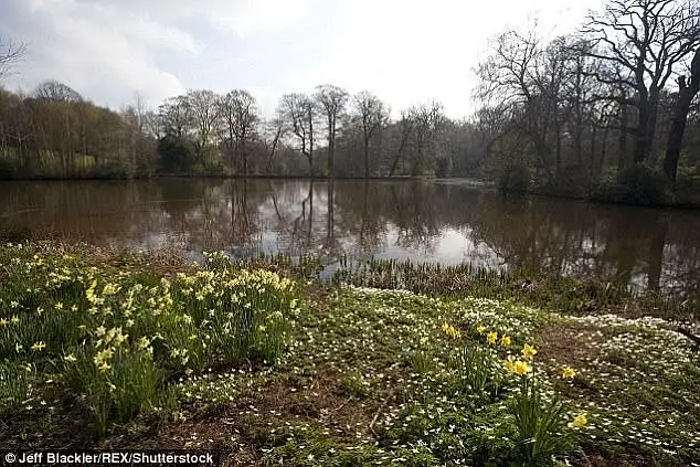 In 2019, The City of London Corporation officially adopted a new gender identity policy which means anyone can use Hampstead Heath's Ladies' Pond if they identify as female