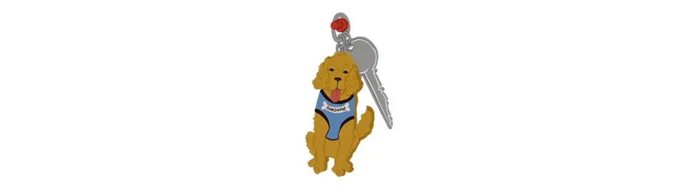 sunshine dog keys illustration