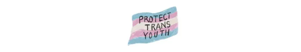 trans flag