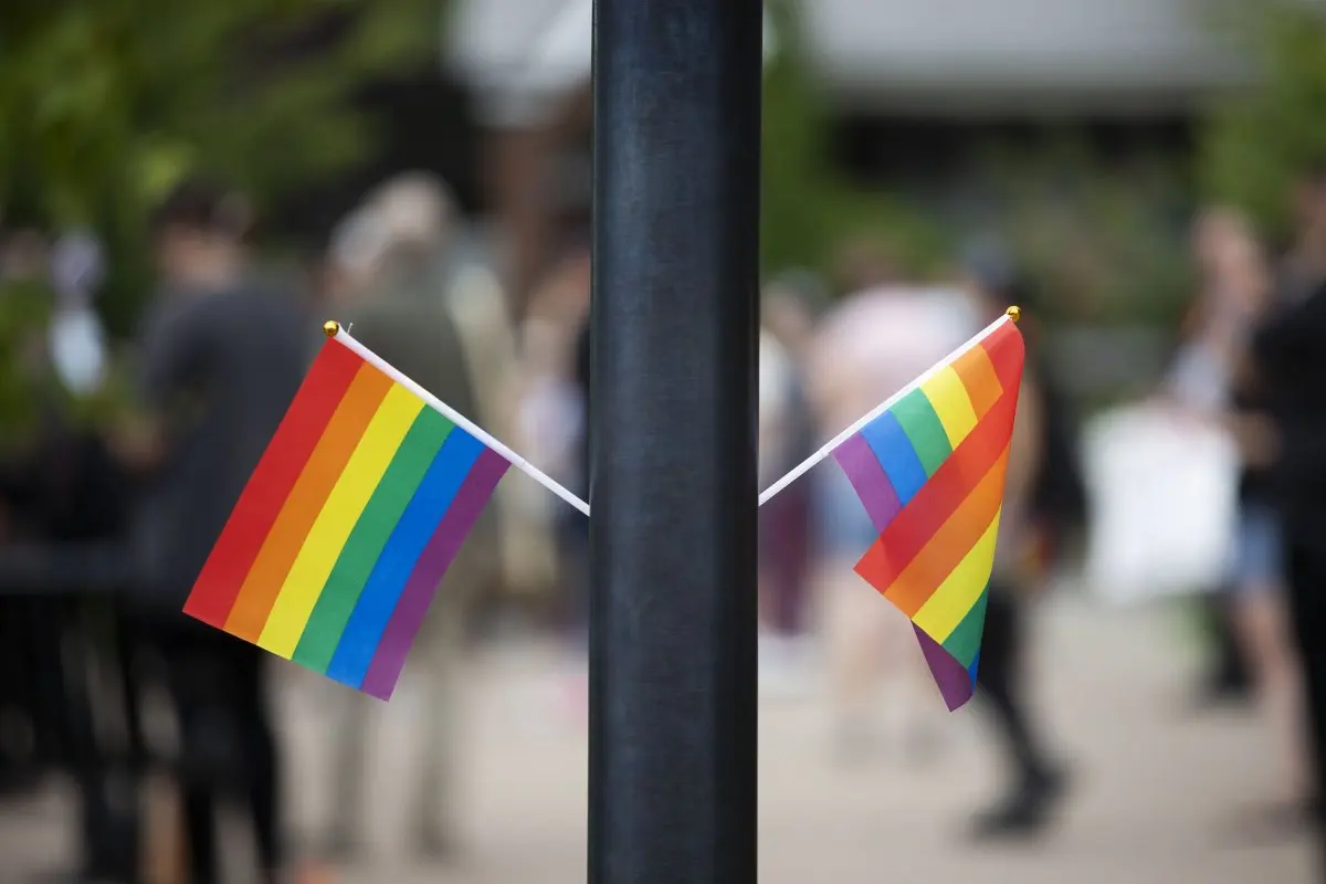 LGBTQ flags