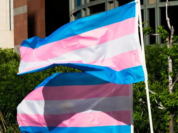 Trans pride flags flutter in the wind at a gathering to celebrate International Transgender Day of Visibility, March 31, 2017 in Los Angeles, Calif. (ROBYN BECK/AFP via Getty Images)