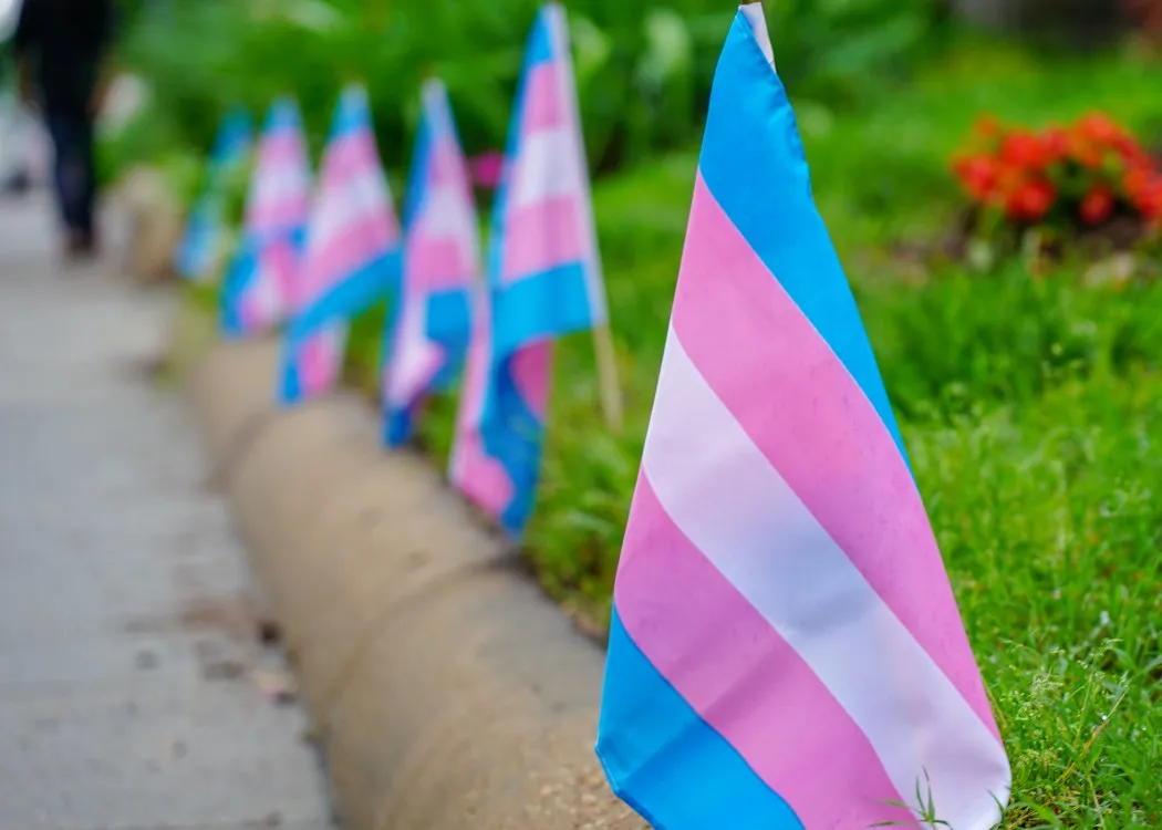 transgender flags LGBT