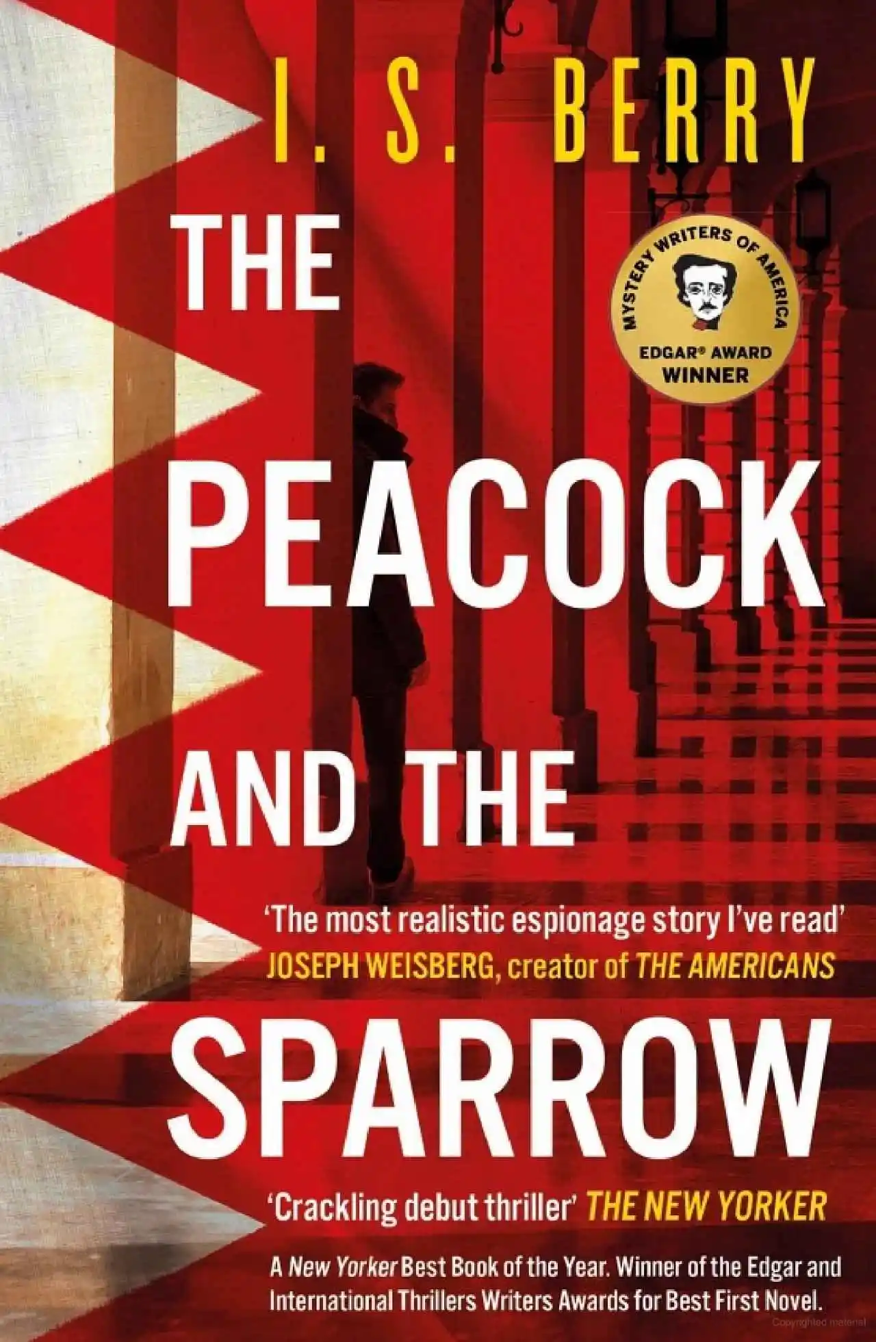 The Peacock and the Sparrow by I.S. Berry
