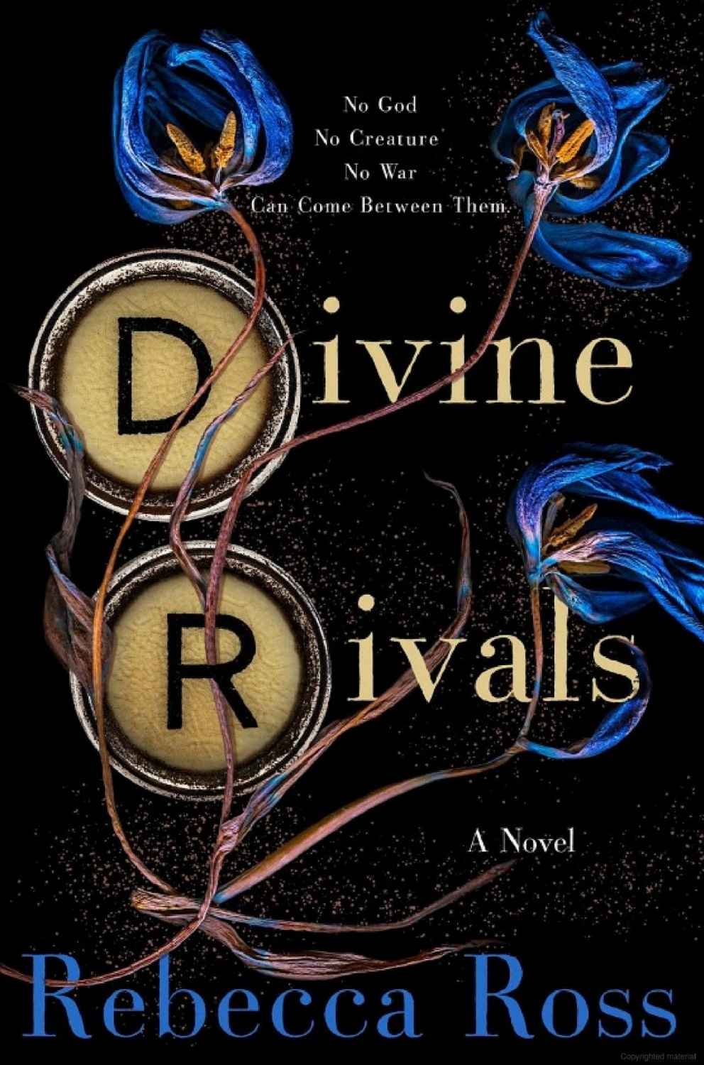 Divine Rivals — Rebecca Ross (2023)