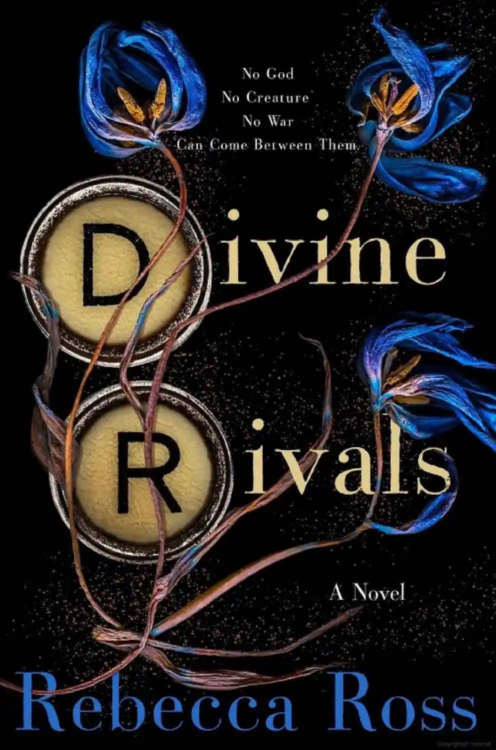 Divine Rivals — Rebecca Ross (2023)